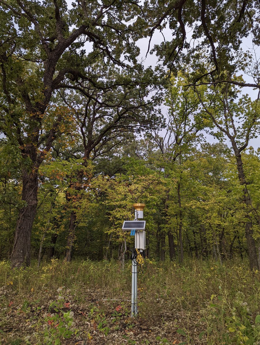 KSU Soil Water Lab (@ksu_soilwater) on Twitter photo In situ soil moisture testbeds at the Konza Prairie. <a href="/RainfedAg/">Rainfed Agriculture Innovation Network (RAIN)</a> <a href="/NRCS_Kansas/">NRCS_Kansas</a> <a href="/KonzaLTER/">Konza Prairie LTER</a> <a href="/KStateAgron/">K-State Agronomy</a> In situ soil moisture testbeds at the Konza Prairie. <a href="/RainfedAg/">Rainfed Agriculture Innovation Network (RAIN)</a> <a href="/NRCS_Kansas/">NRCS_Kansas</a> <a href="/KonzaLTER/">Konza Prairie LTER</a> <a href="/KStateAgron/">K-State Agronomy</a>