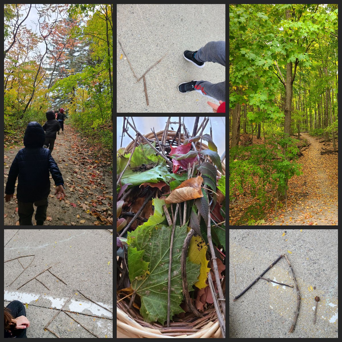 Grateful for this beautiful forest that provided our Kindergartens an opportunity to explore some treasures in nature. A walk in nature encourages curosity, imagination and engages conversations allowing students to use their senses. #fdk #outdoorclassroom <a href="/LOC_YCDSB/">Light of Christ CES</a>
