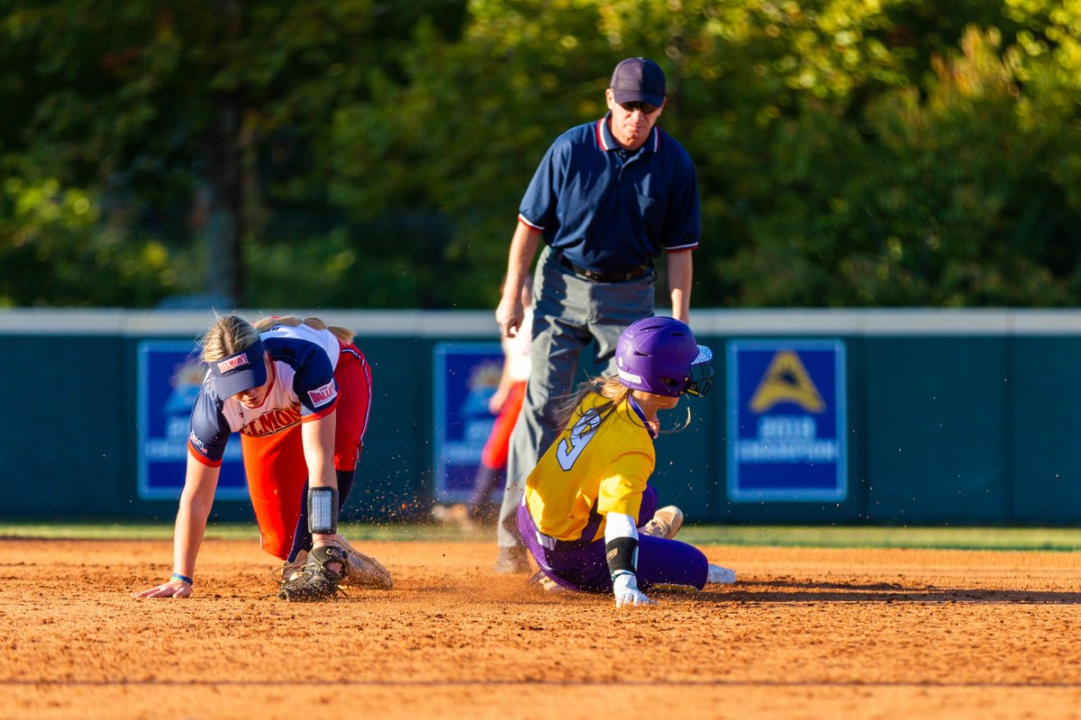 Lipscomb Softball tweet media