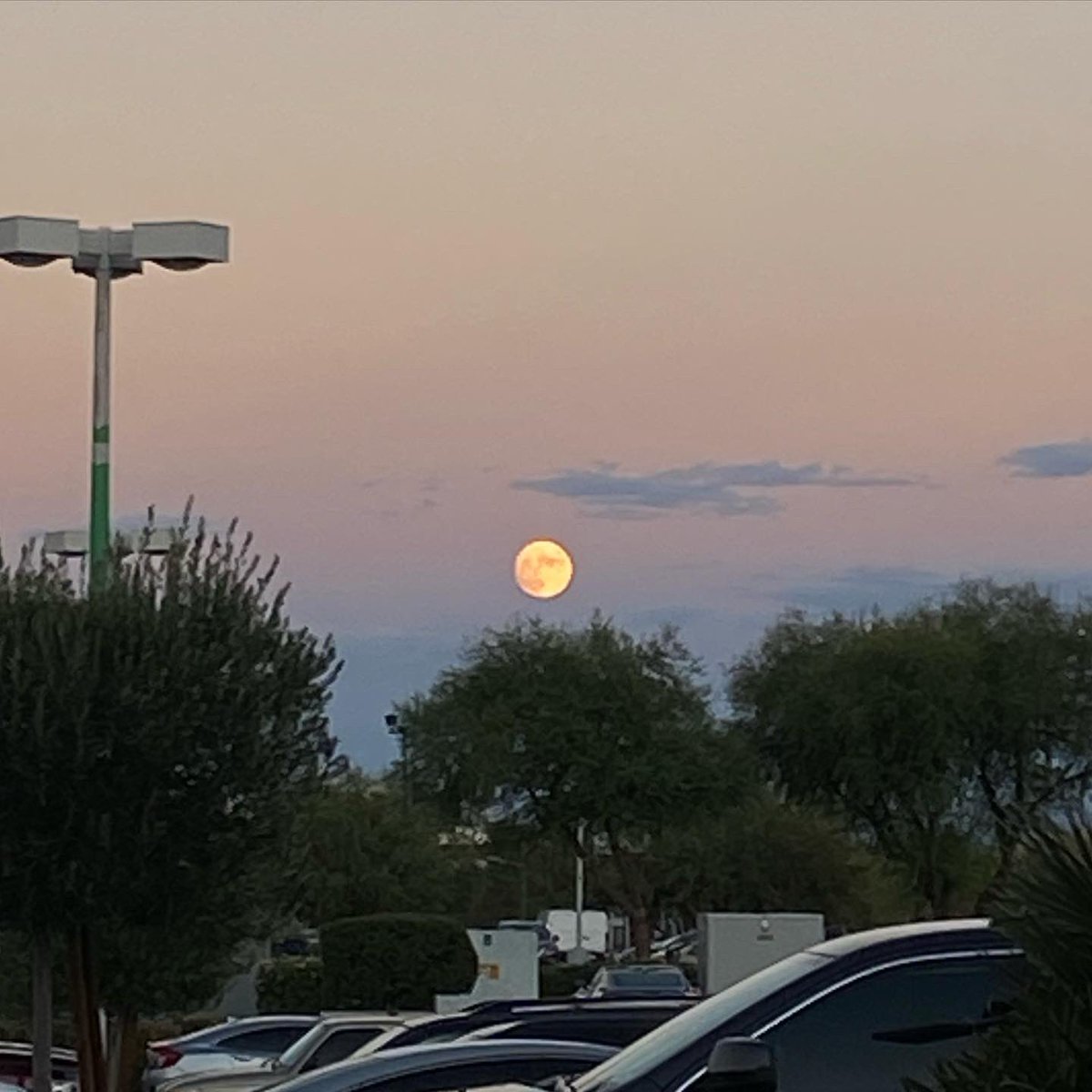 j3tta's tweet photo. 🧛🏾‍♂️🎃 https://t.co/y1jsxnMzDA