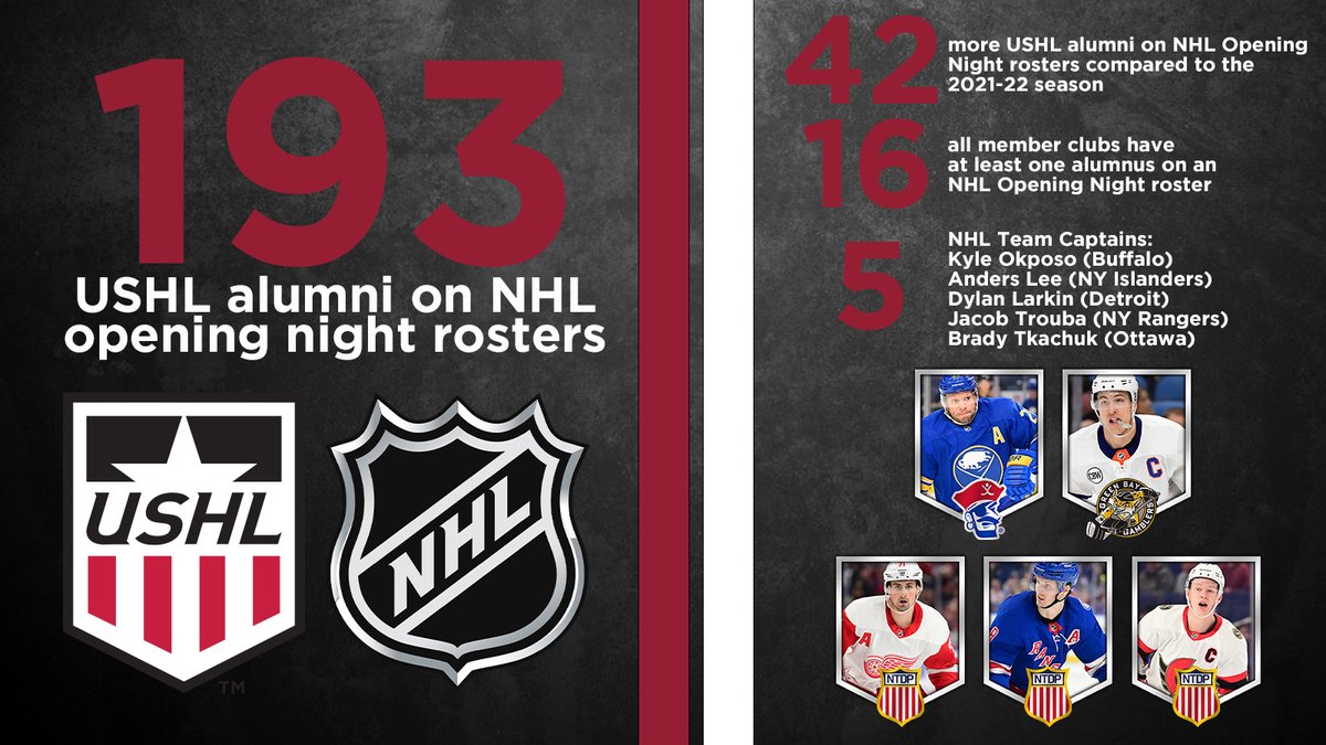 USHL's tweet photo. 193 USHL alumni named to @NHL #OpeningNight rosters! Check out all the info from the group of alumni starting the season in the NHL this season. #StarsRise
https://t.co/vnVHW7fQv9 https://t.co/Yad3uC5h3t