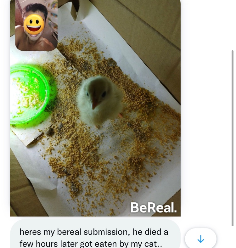 User Submission : r/bereal_app