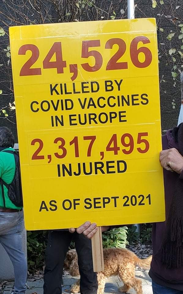 squawkying's tweet photo. @Toibin1 Can you please ask them about the #PfizerDocuments and the 8 pages of Side Effects #VaxInjuries #VaxSideEffects https://t.co/dFCz0dHkGz