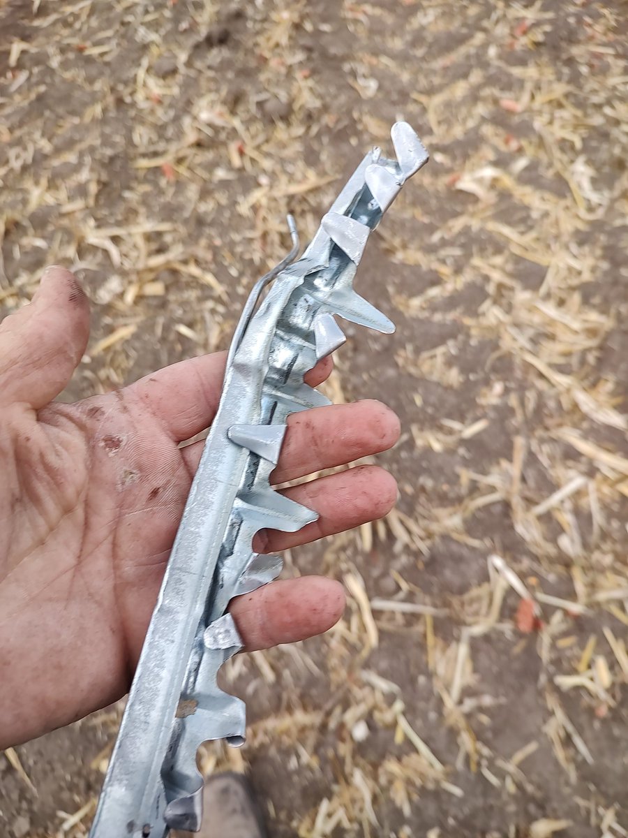 kevin Harsch tweet media