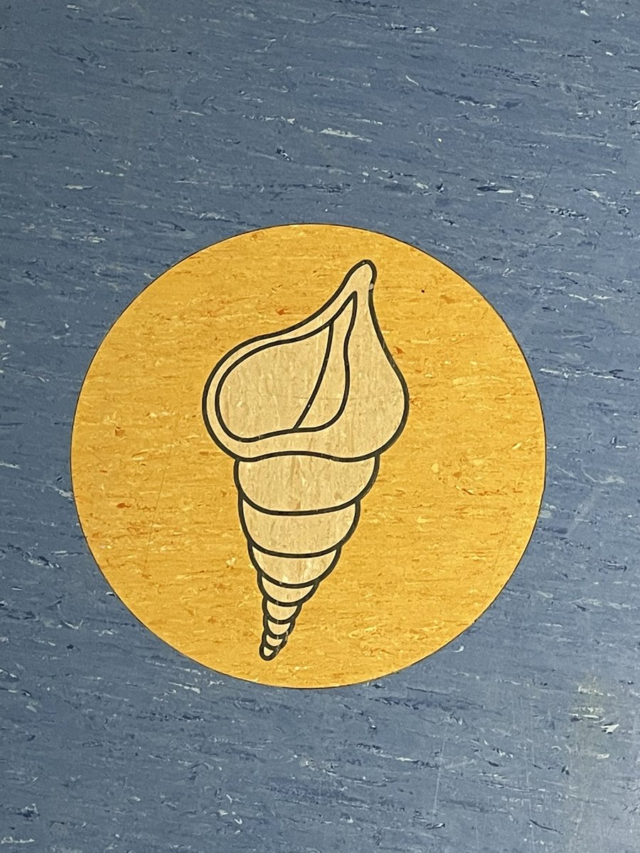 Lucy Davies💚 tweet media