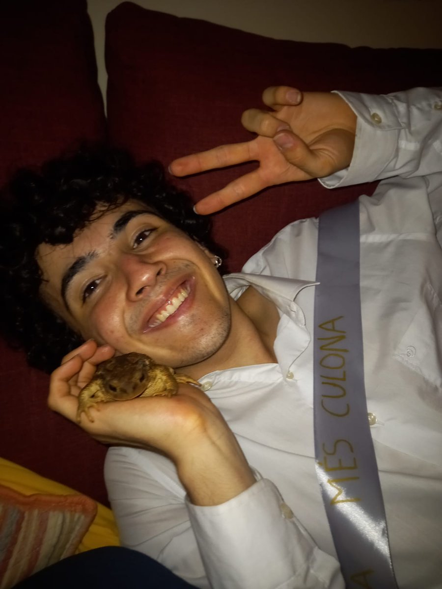 PauFajas's tweet photo. Ahir al paso d'equador, desenvolupant una relació sentimental de dependència amb un gripau. Gustavo, et trobaré a faltar 🐸🌻🌹 https://t.co/vFAfs8uR9U