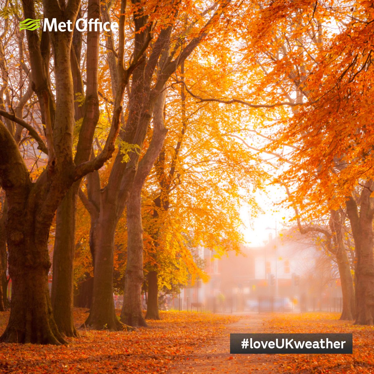 metoffice's tweet photo. It will be a crisp, bright, autumnal start for many, especially in the north 🍂

We'd love to see your autumnal photos so please share them with #loveUKweather 📸 https://t.co/W5y5YmanAI