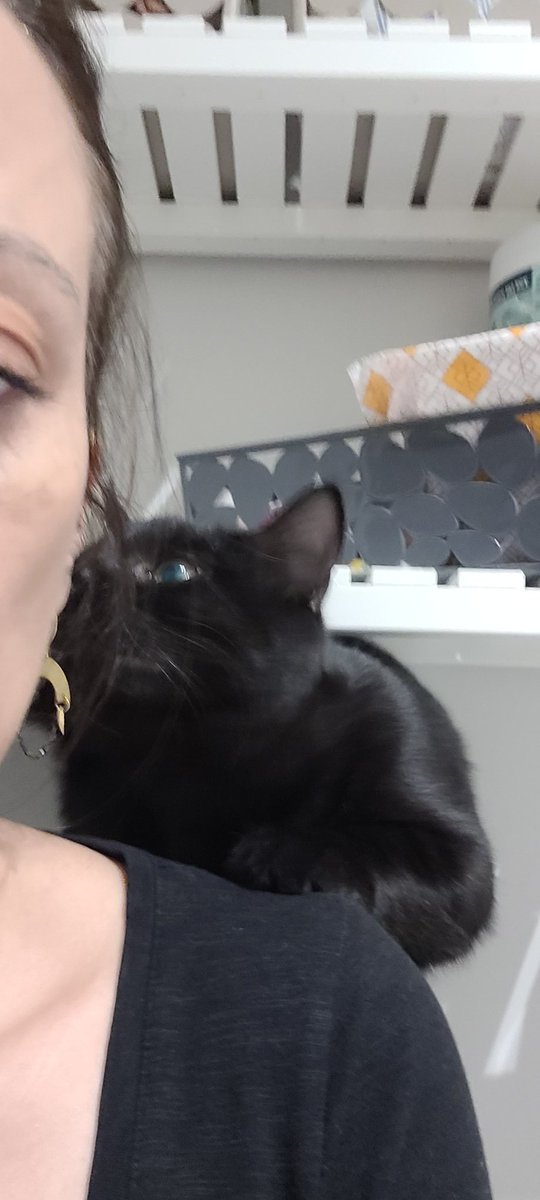 french_klo's tweet photo. "pendant que t'es sur le trone #cattip Tu devrais jouer avec tes crottes c'est trop cool" https://t.co/9wwPxplHGC