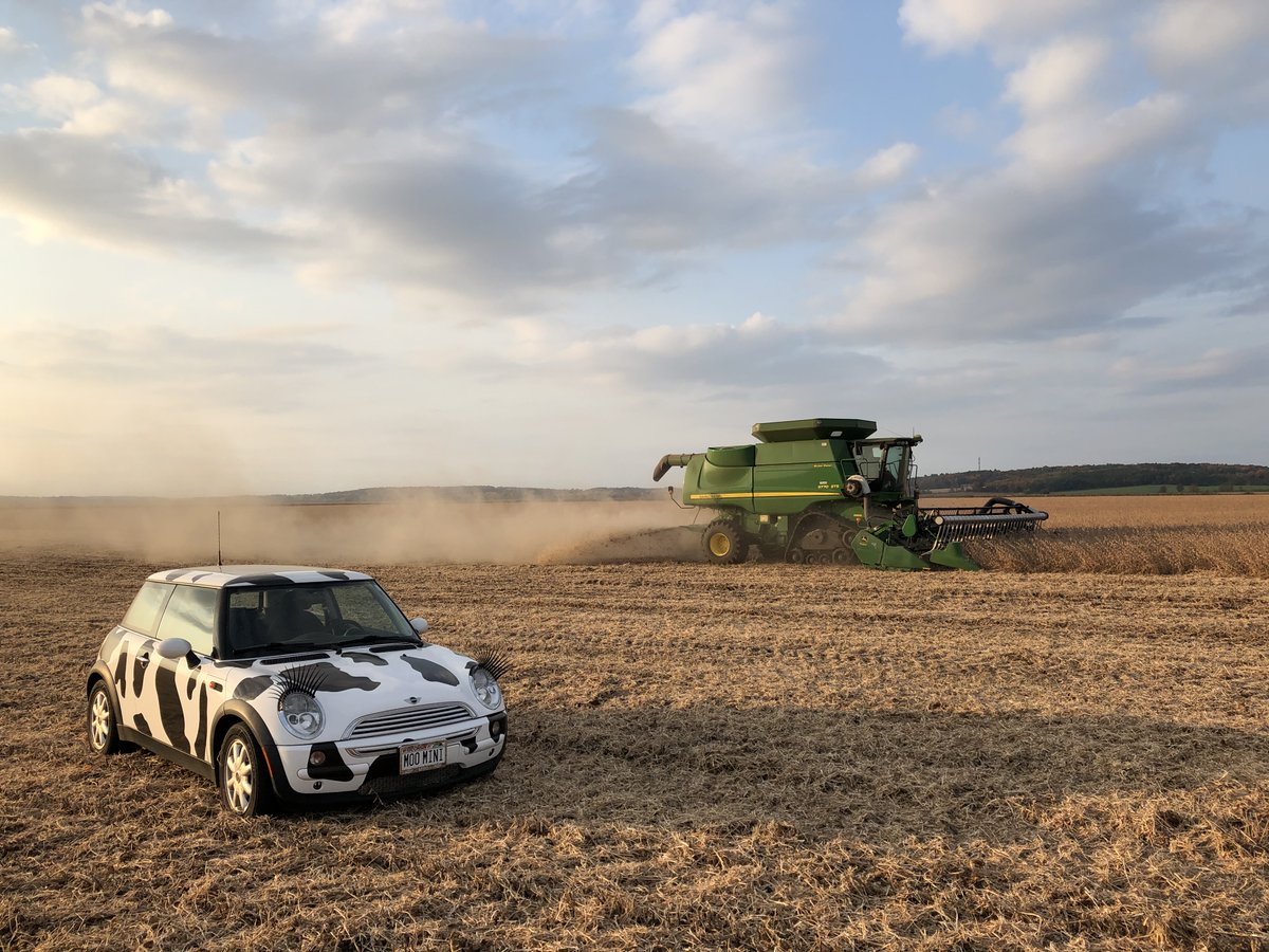 It's #NationalFarmerDay! Mini would like to thank the farmers for their hard work and dedication to feeding the world. Mini also wants to wish all the farmers a safe and bountiful harvest this fall!