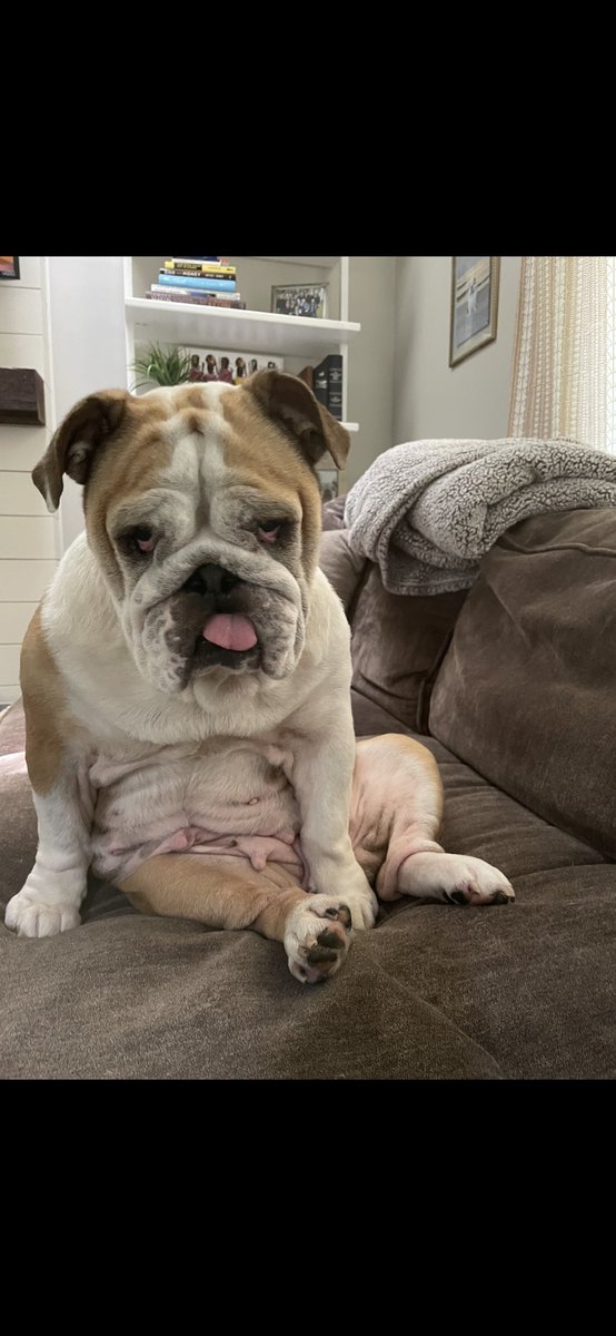 @MagooCrew I just learned about sweet Lottie going over the rainbow bridge. So sorry to hear but she did inspire others. We recently foster failed and adopted Birdie Rose who has a similar story as Lottie. She will be loved for all her remaining days!