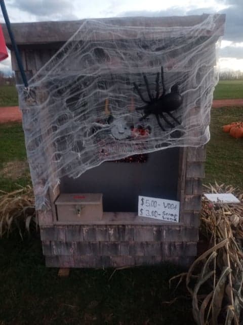 My mom and dad are selling pumpkins from their roadside stand on PEI, and the whole family got together to build them a display on Thanksgiving. It's very wholesome, and now I want to build something here.