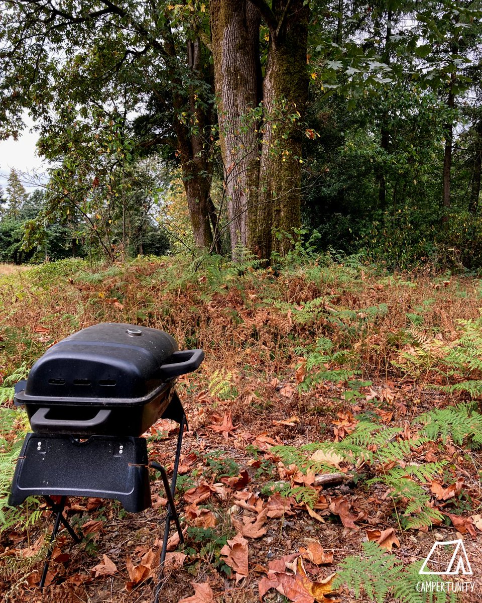 campertunity's tweet image. The only thing better than the fall foliage is having amazing sunny weather to highlight it all🤩🍂

Check out HerStory Farm📍
Book your perfect Sunny Fall Camping trip this weekend!!

Visit our website to book🔗
#campertunity #fallcamping