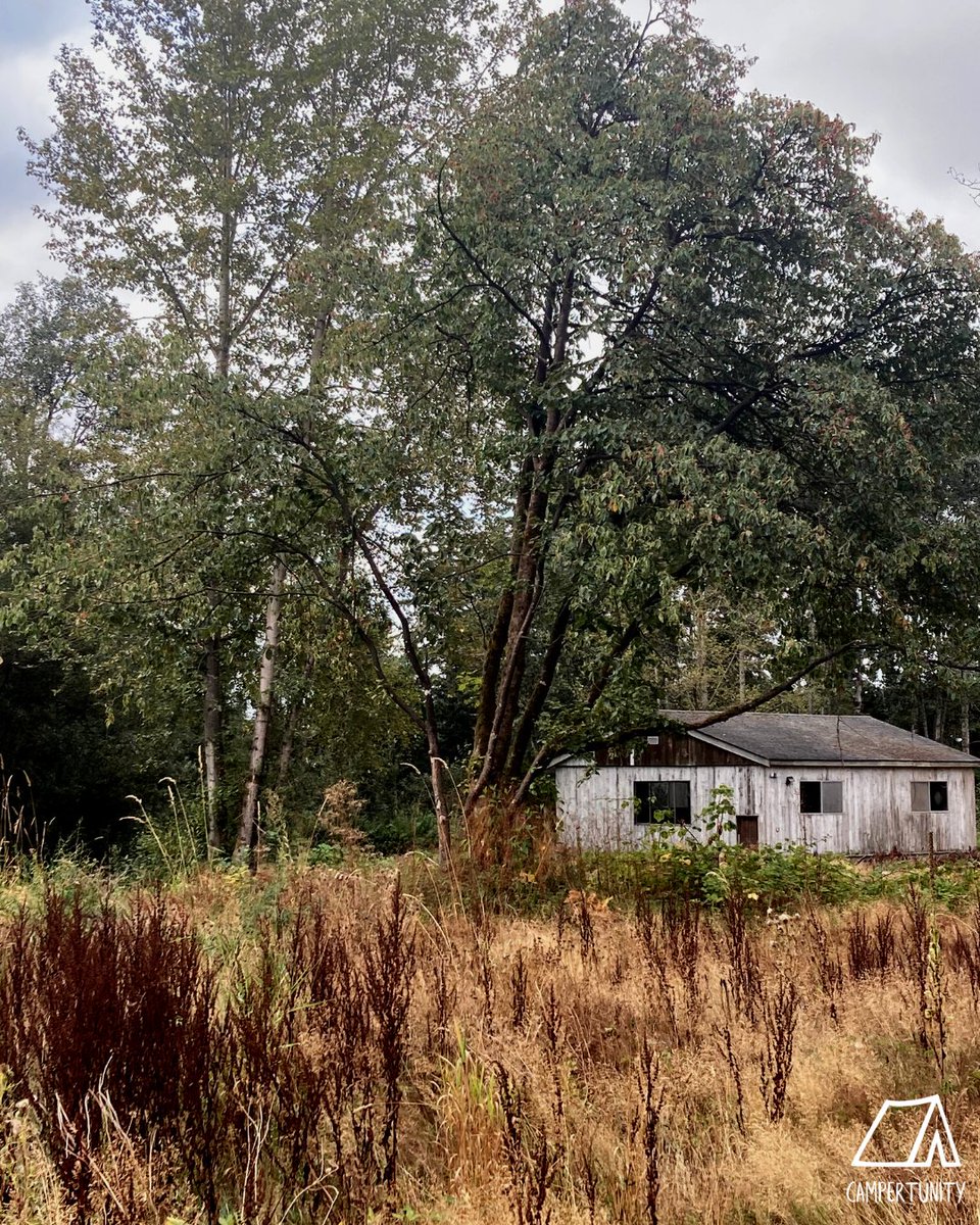 campertunity's tweet image. The only thing better than the fall foliage is having amazing sunny weather to highlight it all🤩🍂

Check out HerStory Farm📍
Book your perfect Sunny Fall Camping trip this weekend!!

Visit our website to book🔗
#campertunity #fallcamping