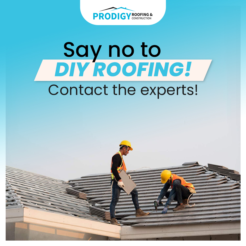 ProdigyRoofing's tweet photo. The process of roof repair involves technical and structural understanding, and our experts have honed their skills over the years in order to provide the best repair services to you
Text us at (832) 225-3650

#roofing #roofingcontractor #roofingcompany #prodigyroofingservice https://t.co/6SA1J8BptQ