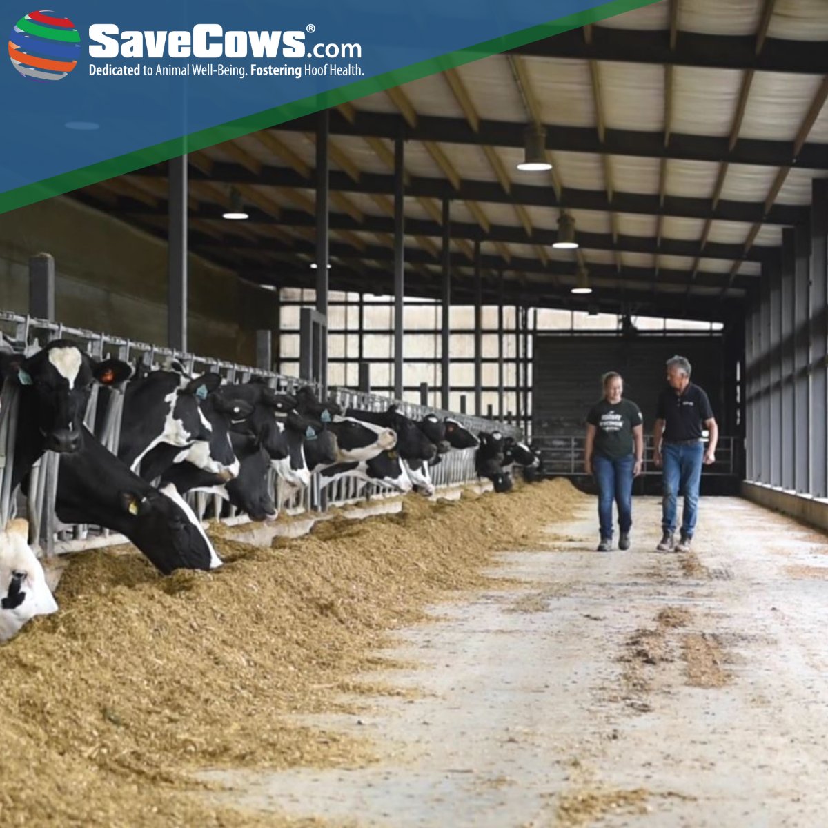 SaveCowsNetwork's tweet photo. Today is #NationalFarmersDay! Thank you to all the farmers for being a part of the 2% who feed and clothe us not only today, but everyday. Your hard work does not go unnoticed! https://t.co/ETg4JLRUAP