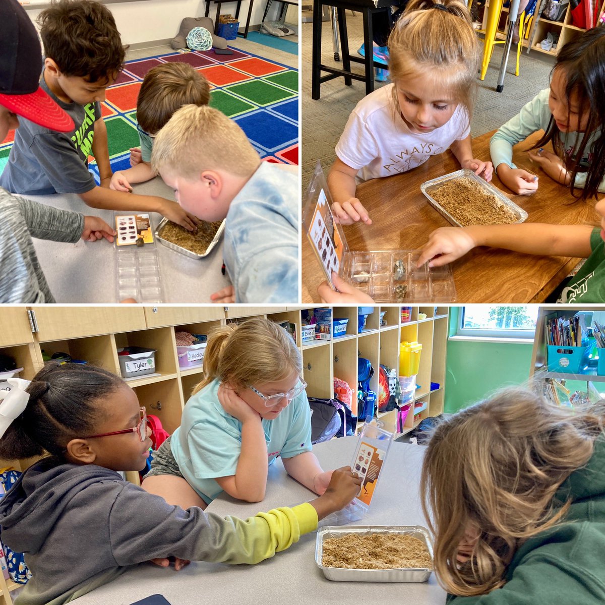 MsPGrade3's tweet photo. Digging up fossils to figure out what MO looked like millions of years ago! 🐚🪸 https://t.co/kNX602DV1l