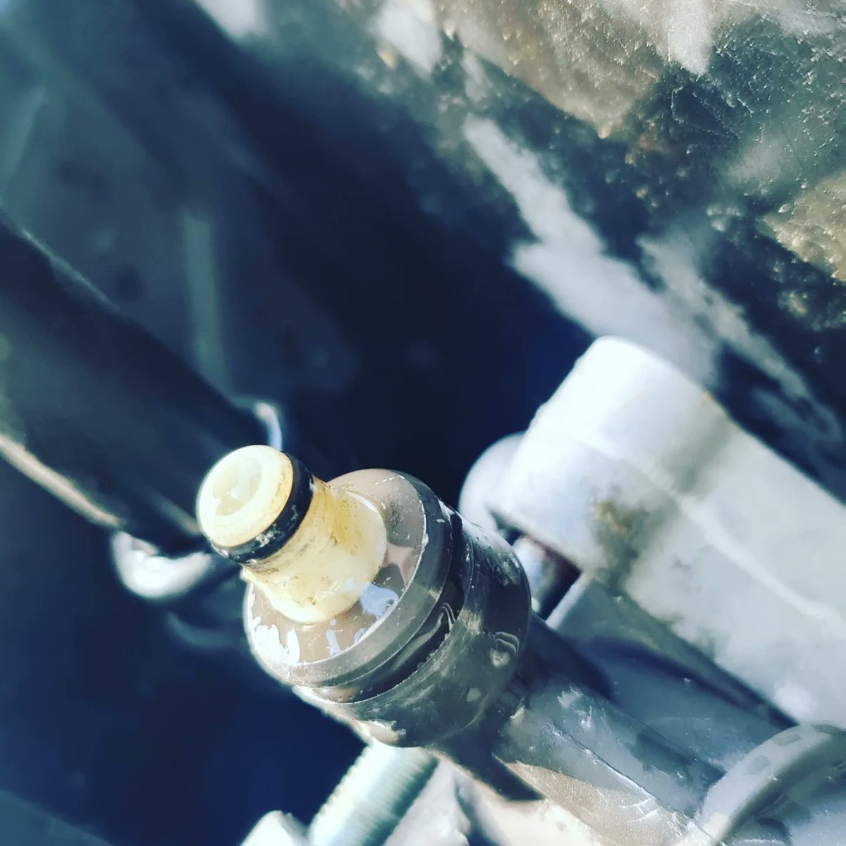 ddhexham's tweet image. STIHL Pressure washer in for repair this week after customer said there was no pressure build up. Set of new seals fitted and now ready for collection.