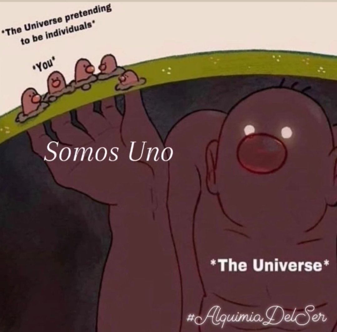 elkedonadio's tweet photo. ✨Somos el UniVerso jugando a que Somos Individuos sin conexión alguna.
✨En nuestro Cuerpo Físico encontramos el recuerdo de nuestra Conexión con el Uno: nuestro Ombligo, el "Botón Dorado".
✨Abrazo de Luz✨
#AlquimiaDelSer #SomosUno #AmorIncondicional #PazInterna #Octubre2022 https://t.co/EjUCndhOjA