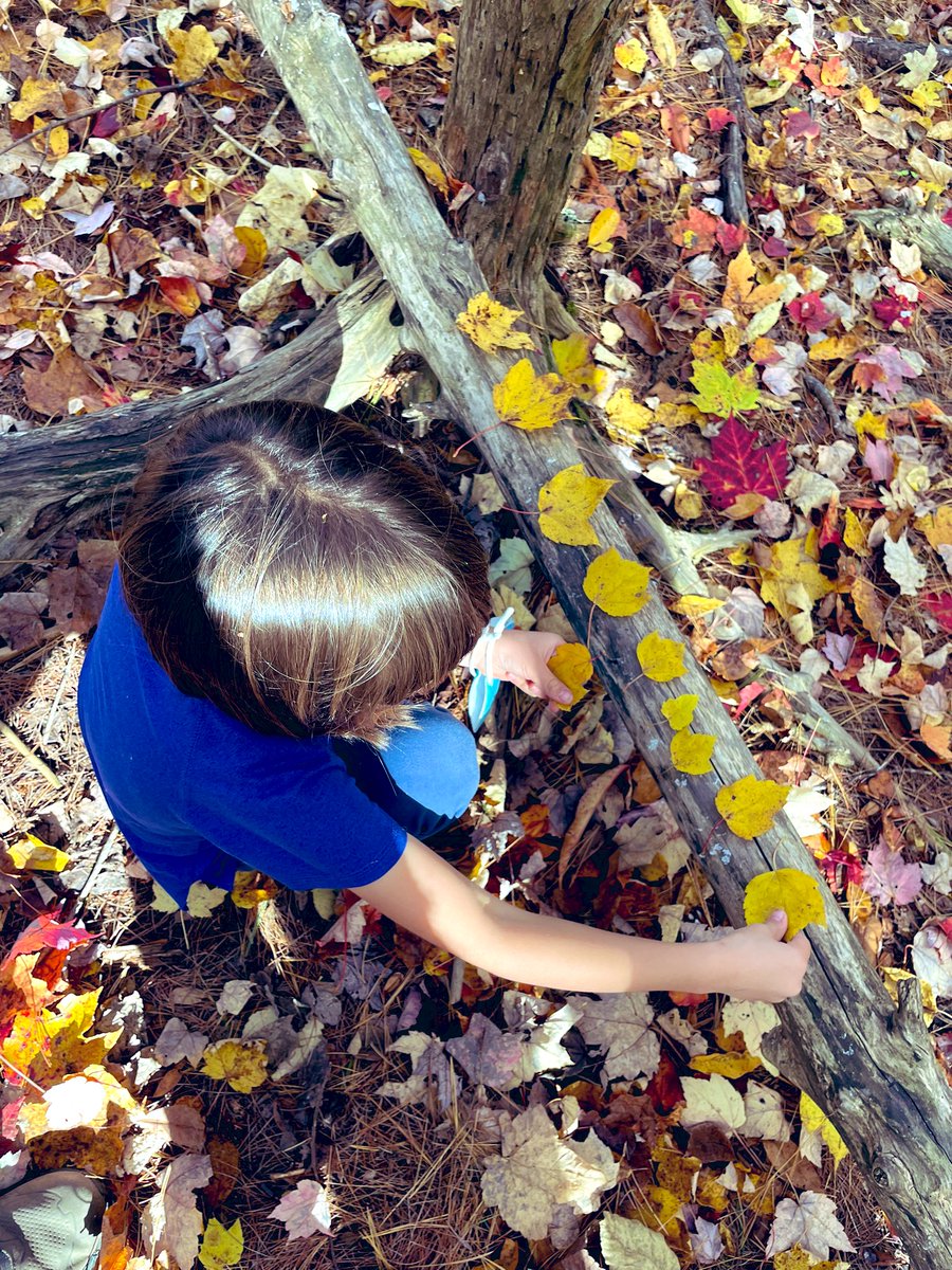 SusanKochVT's tweet image. “Wonder is the beginning of wisdom.”~Socrates #firstgrademagic #ECO #ThisisUES #wiseowls @BareaKatie @Bonesteelvt @EcologySchoolME @mrpsvt @NBNC_VT