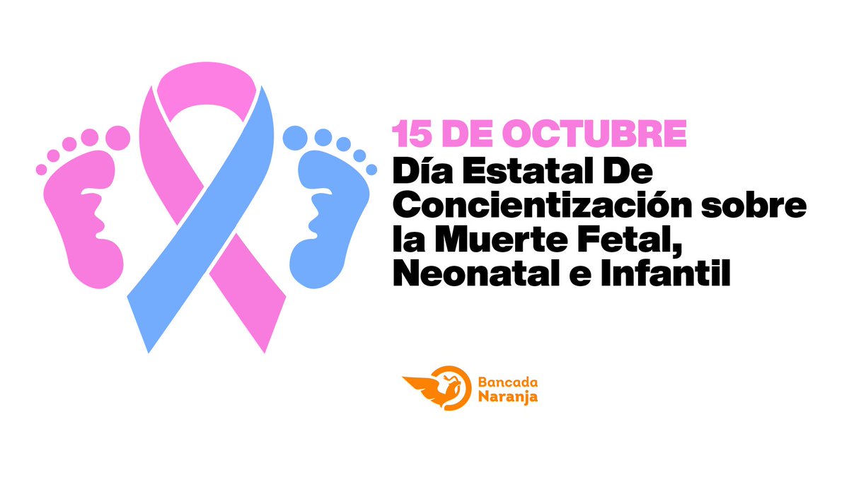 Así como instaurar el 15 de octubre de cada año como el “Día de Concientización sobre la Muerte Fetal, Neonatal e Infantil". Hoy el <a href="/CongresoSon/">Congreso Local Son</a> aprobó la iniciativa por lo que Sonora se convierte en el primer estado del país en conmemorar y establecer oficialmente este día.