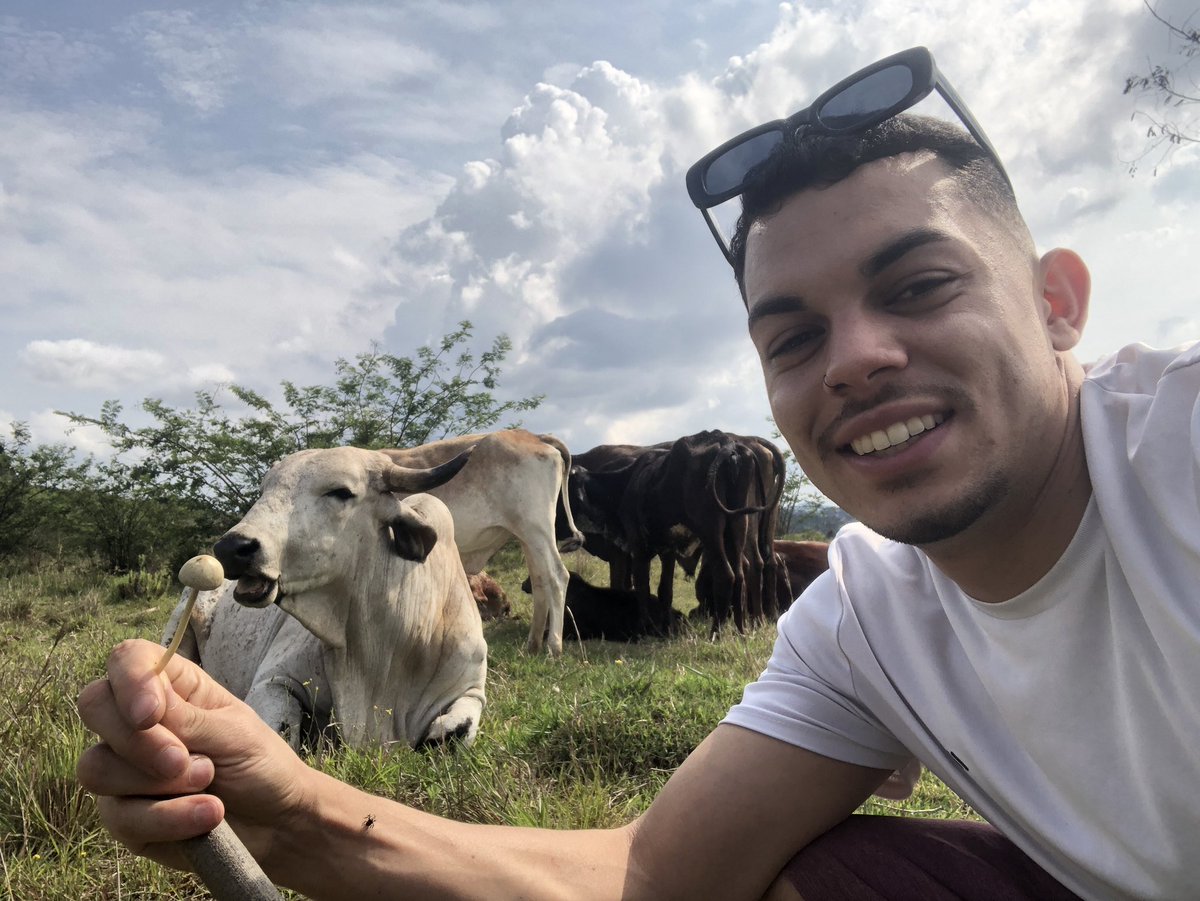 caslusilver's tweet photo. Querendo meu cogumelo 🍄🐂 https://t.co/fTrhzNmvIK