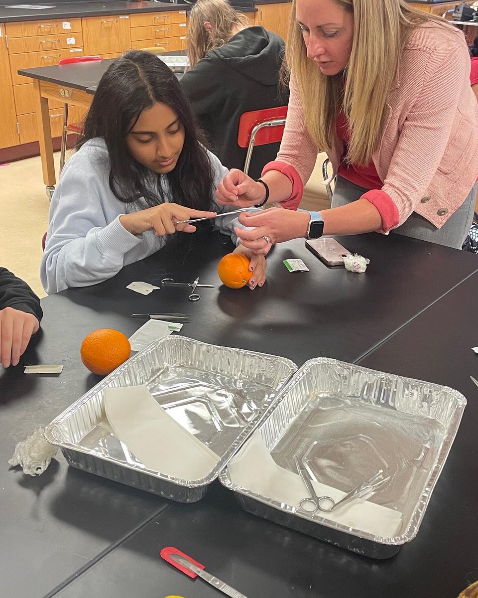 Troy Athens Medical Club (@ahs_medicalclub) on Twitter photo We had a great time today learning how to suture! Thank you to everyone who came, and a huge thank you to PA Jessica Hamilton for coming in to teach us all about suturing and what it’s like to be a physician assistant ❤️💛 <a href="/heroes_hospital/">AHS Hospital Heroes</a> <a href="/mrspeteyahs/">Rachel Peterson</a> <a href="/athensdenyes/">Elizabeth Denyes</a> We had a great time today learning how to suture! Thank you to everyone who came, and a huge thank you to PA Jessica Hamilton for coming in to teach us all about suturing and what it’s like to be a physician assistant ❤️💛 <a href="/heroes_hospital/">AHS Hospital Heroes</a> <a href="/mrspeteyahs/">Rachel Peterson</a> <a href="/athensdenyes/">Elizabeth Denyes</a>