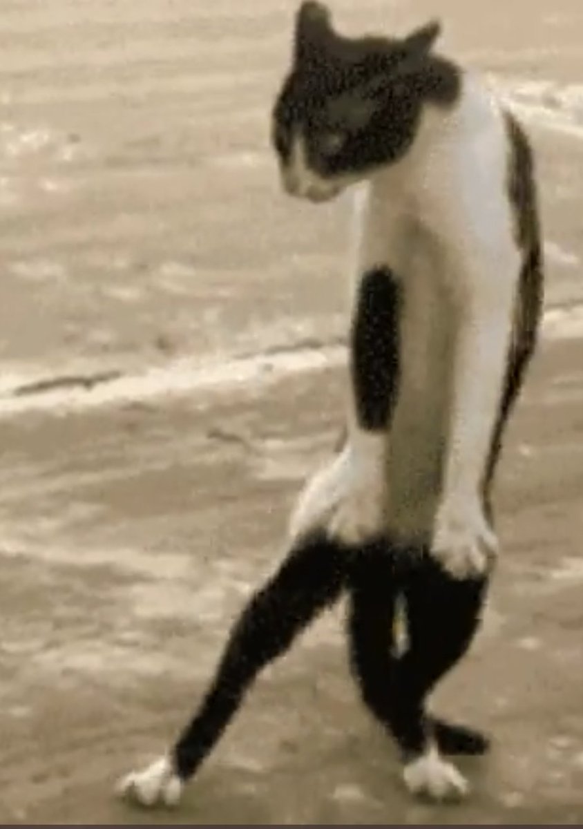 <a href="/bmay/">Brendan May</a>