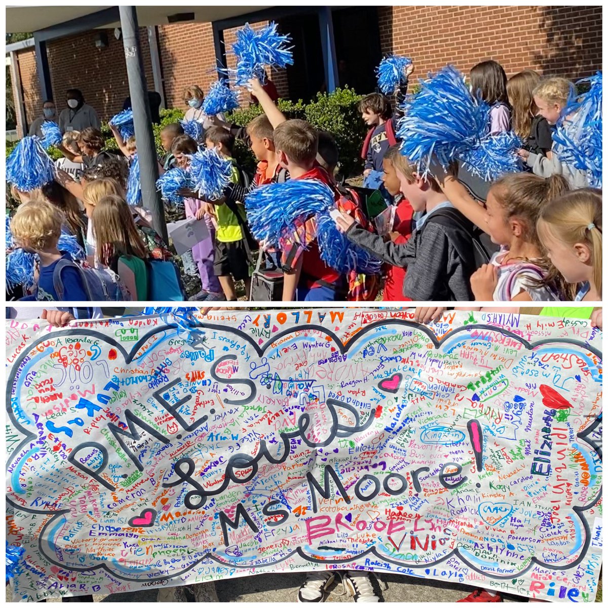 Arla shindelar tweet media