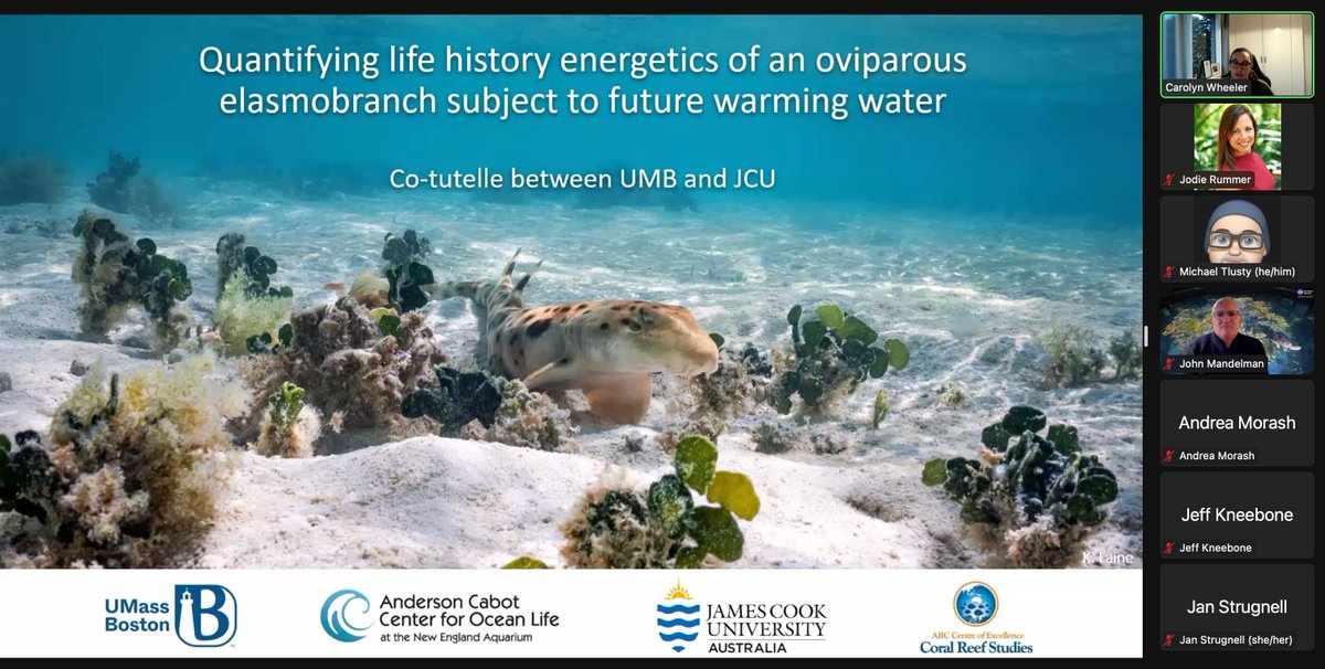 physiologyfish's tweet photo. Huge congrats @Wheel_House23 on her 2nd #PhD defense, this time for @UMassBoston @CenterOceanLife w/ her cotutelle w/ @CoralCoE @jcu - extremely well done! #RummerLabProud #epauletteshark #walkingshark #physioshark https://t.co/8OgjaV0mZX