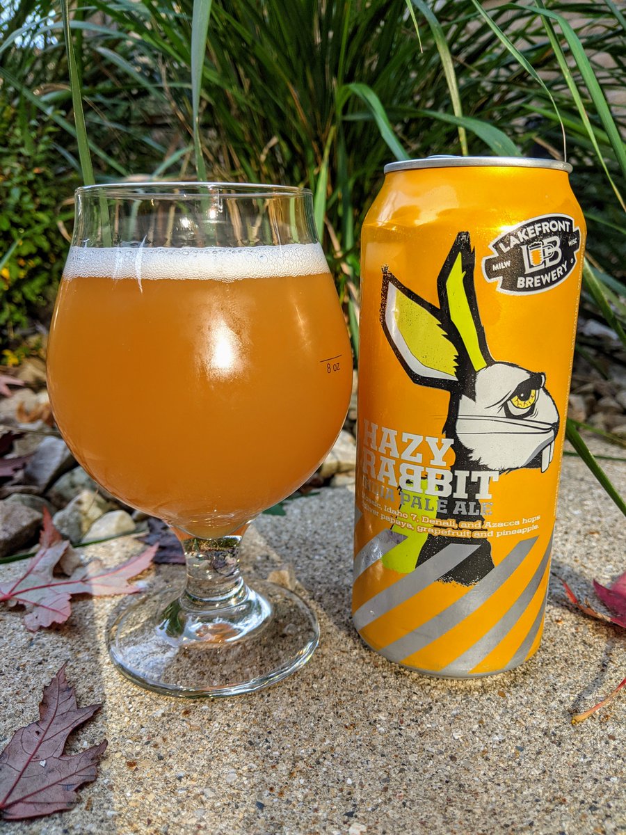 On this dreary-turned-sunny day...a little Hazy Rabbit from <a href="/lakefront/">Lakefront Brewery</a>  #WIBeerWednesday #WiCraftBeer #drinkwisconsinbly #drinklocal  #craftbeer