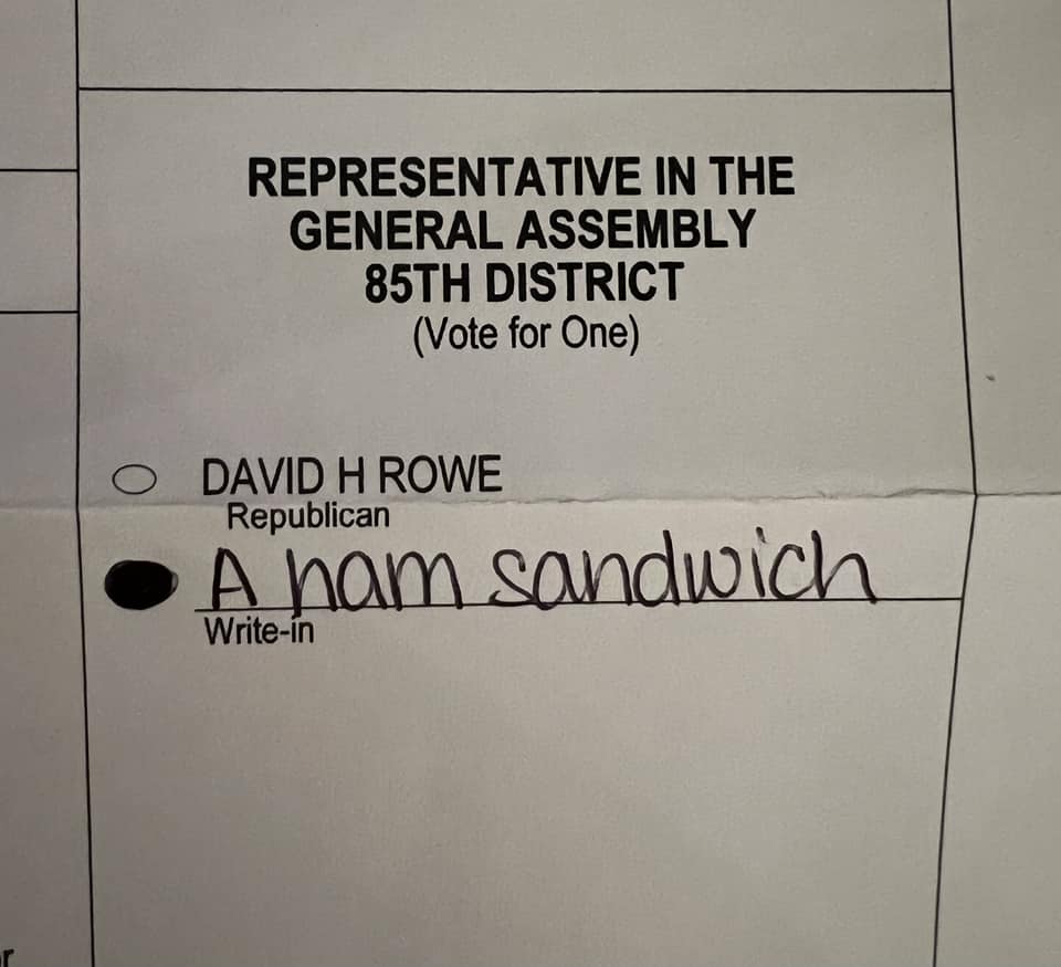 ScreenerGoat's tweet photo. A ham sandwich could do a better job representing PA85 than incompetent @DavidRowePA, so I literally voted for a fucking ham sandwich over him. https://t.co/ADzyZsf4Xi