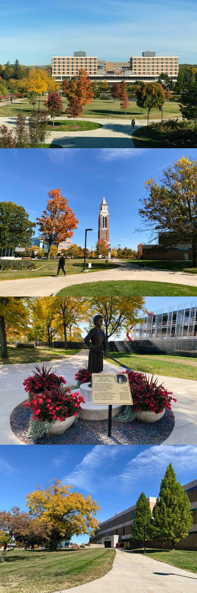 CoderDoge1108's tweet image. My first in person conference at @ASE_conf Doctoral Symposium. Nice to see the beautiful autumn in Detroit🍂