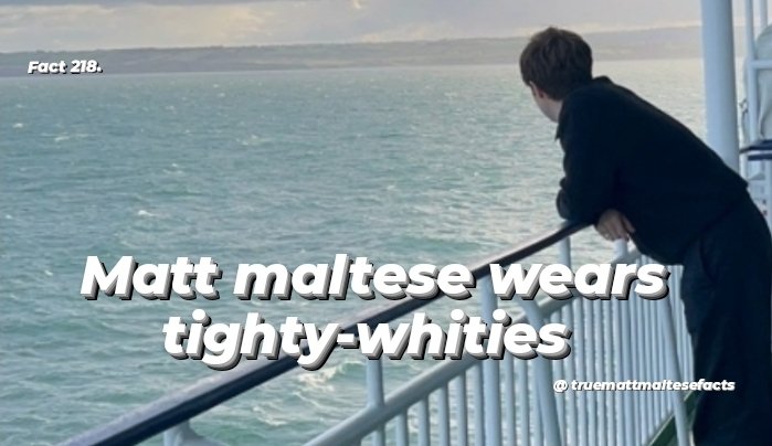TrueMattMalteseFacts tweet media