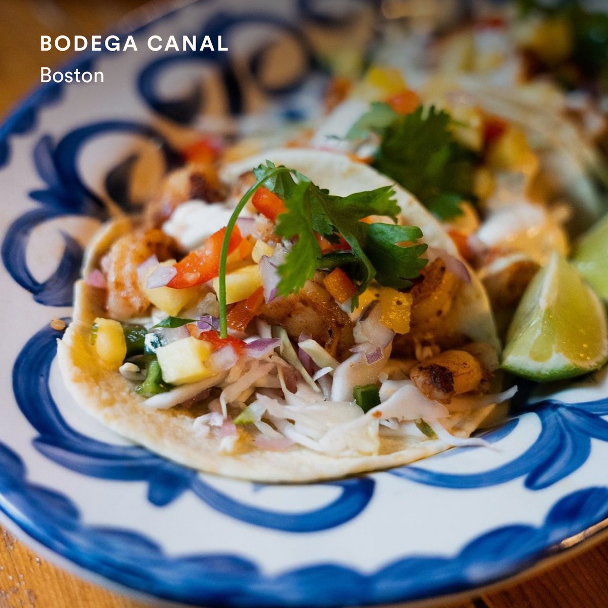 Classic Mexican meets rustic glam at Bodega Canal, a stylish Boston spot featuring tequila-forward cocktails and a hip aesthetic.