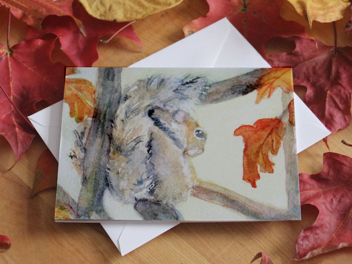 LisSycamoreWood's tweet photo. Cute Autumn Note Cards great for a #ThankYoucard or #invitation #watercolor #artcard #squirrel #autumnleaves #FallForArt #mail #letters #notewriter #TMTInsta #shopsmall #supportsmallbusiness #etsy #etsyfinds #cards #naturelovers #AnimalLovers 

https://t.co/SqulUVCgYm https://t.co/w4r3P3kN9x