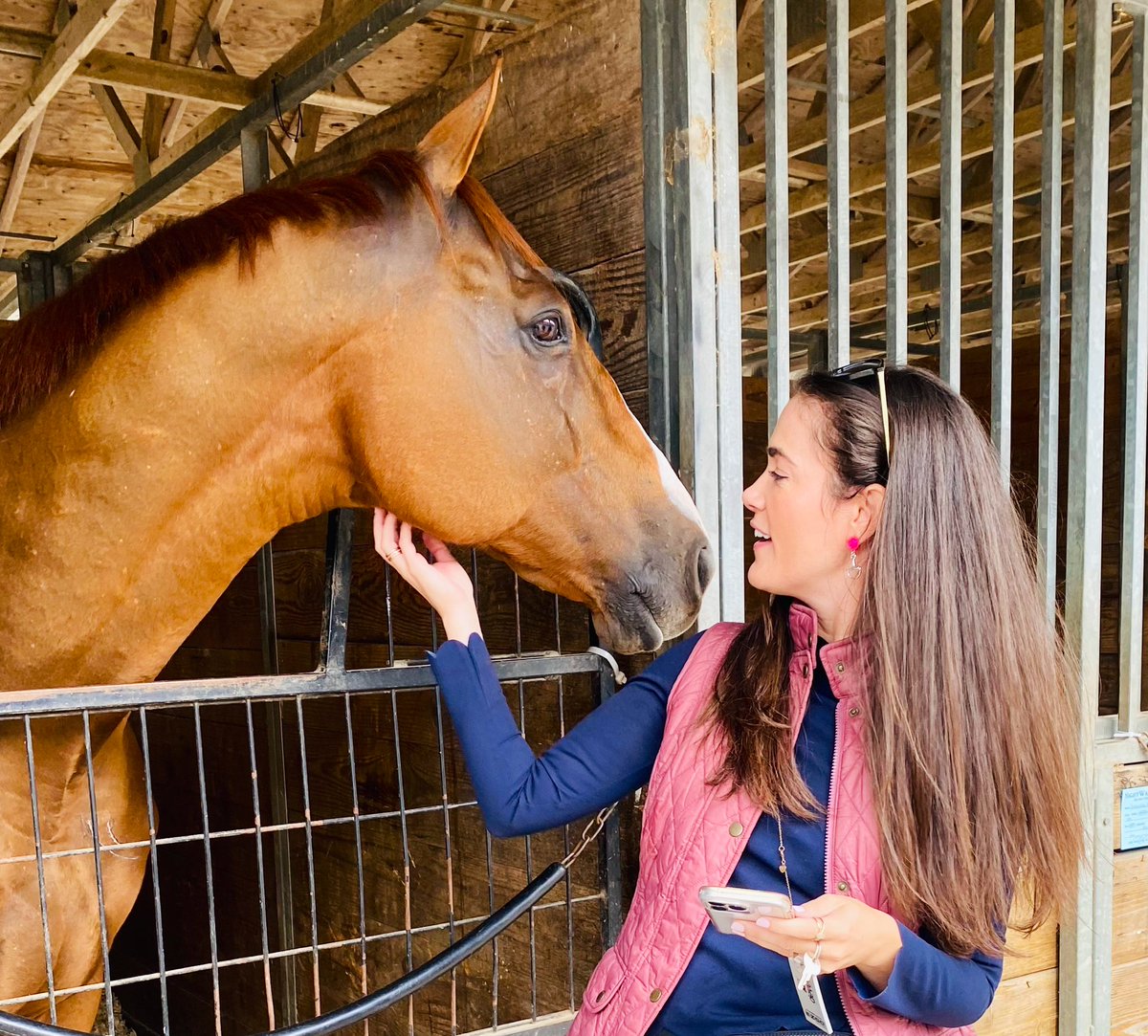 Whitmore. 

(I’m) apparently a little smitten with the <a href="/BreedersCup/">Breeders' Cup</a> champ and greatly looking forward to seeing him compete tomorrow <a href="/RRP_TBMakeover/">Retired Racehorse Project</a>. 

Truly love seeing all these stunning &amp; versatile racehorses transitioning and being competitive in their new careers.