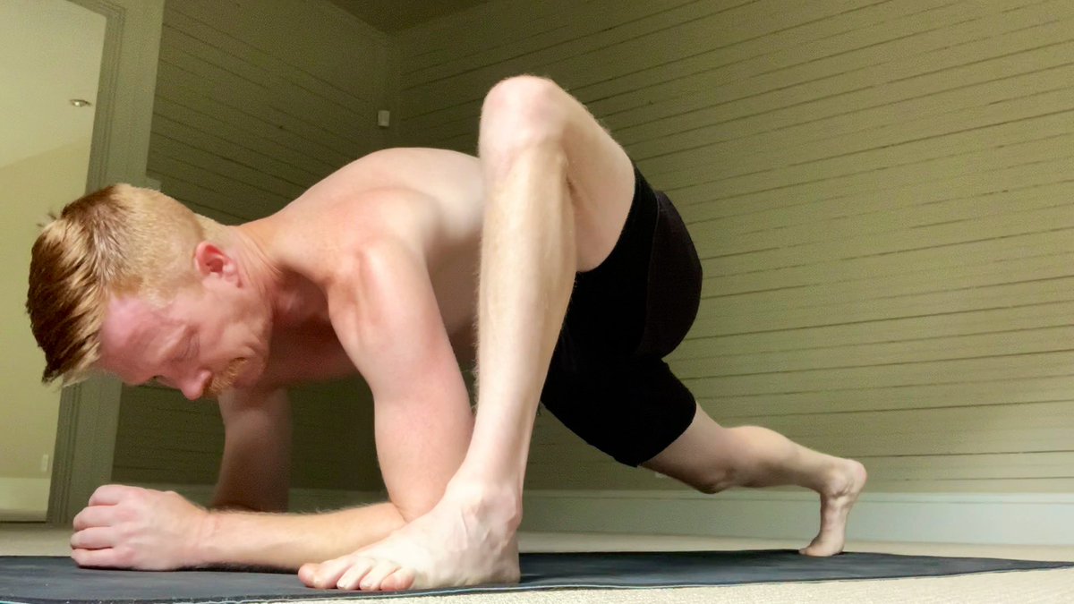 Lizard Lunge