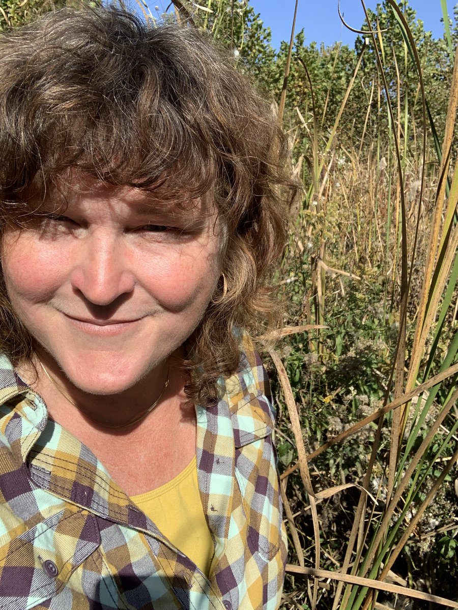 treebiology's tweet photo. Just another #ecosystem #ecology prof with #cattails in a 10 year-old #wetland that used to be a corn/soy field next to #Battelle #DarbyCreek @cbusmetroparks https://t.co/ldZUvYfwwV