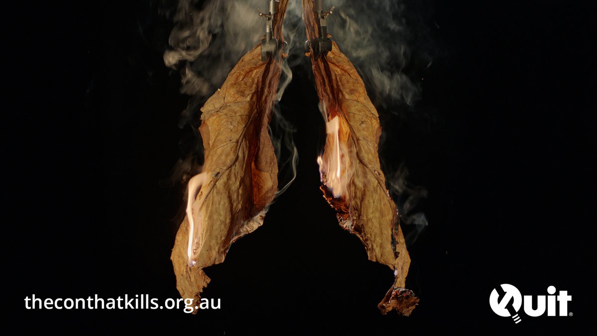 quitvic's tweet photo. The toxic chemicals in tobacco smoke are formed at every stage – from the tobacco farm, to the factory, to when a cigarette is lit. Click the link to watch @US_FDA @FDATobacco From Plant to Product to Puff videos and learn how: https://t.co/JF2v5i8ws5 #TheConThatKills https://t.co/JR0E8jutsz