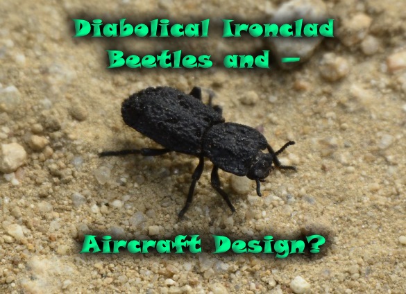 Diabolical Ironclad Beetles and — Aircraft Design? 

This beetle is tough, and researchers learned about its design. Praising evolution instead of the Creator, the design principles are being used in aircraft joints.
https://t.co/2DYG4xBZJs https://t.co/A2Gc44rfKR