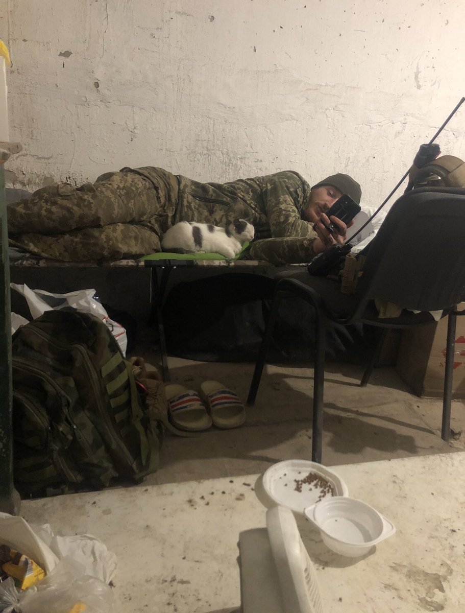 Good night. A cat sleeps with a Ukrainian soldier in Bakhmut's basement.