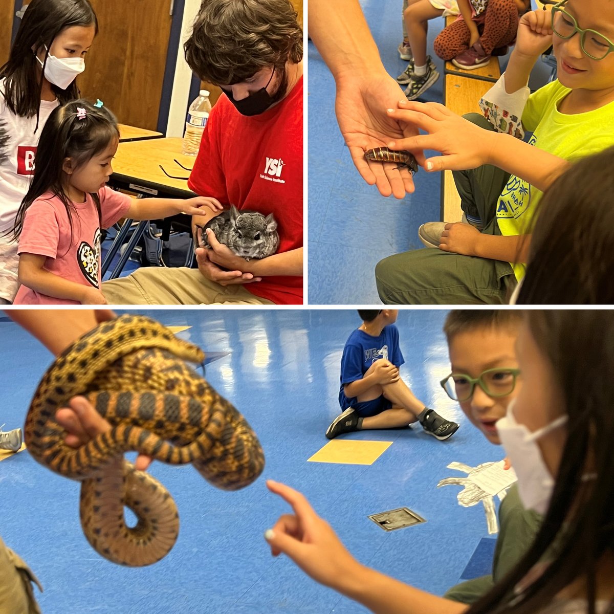 Thanks to the Youth Science Institute (YSI), students at the YMCA After School program at Vinci Park Elementary were able to participate in hands-on environmental education. They loved learning about the environment and being with the different animals YSI brought along!