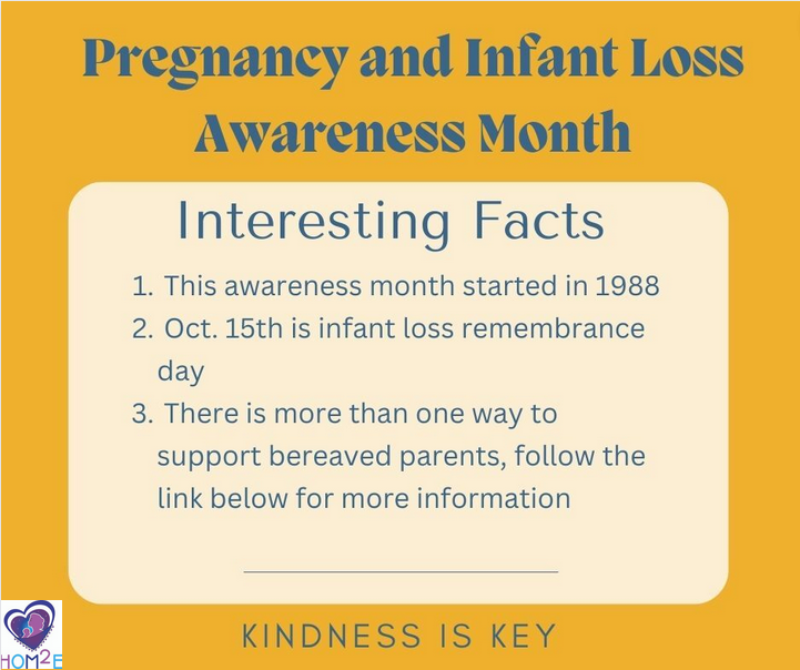 CHommelab's tweet photo. October is Pregnancy &amp; Infant Loss Awareness Month. To bring awareness and show compassion we would like to share some facts, about this month. #NEVERBESTILL
For more information on how to show support or share your story please visit:https://t.co/U3qbMMSdH7. https://t.co/NyURj8dq8P