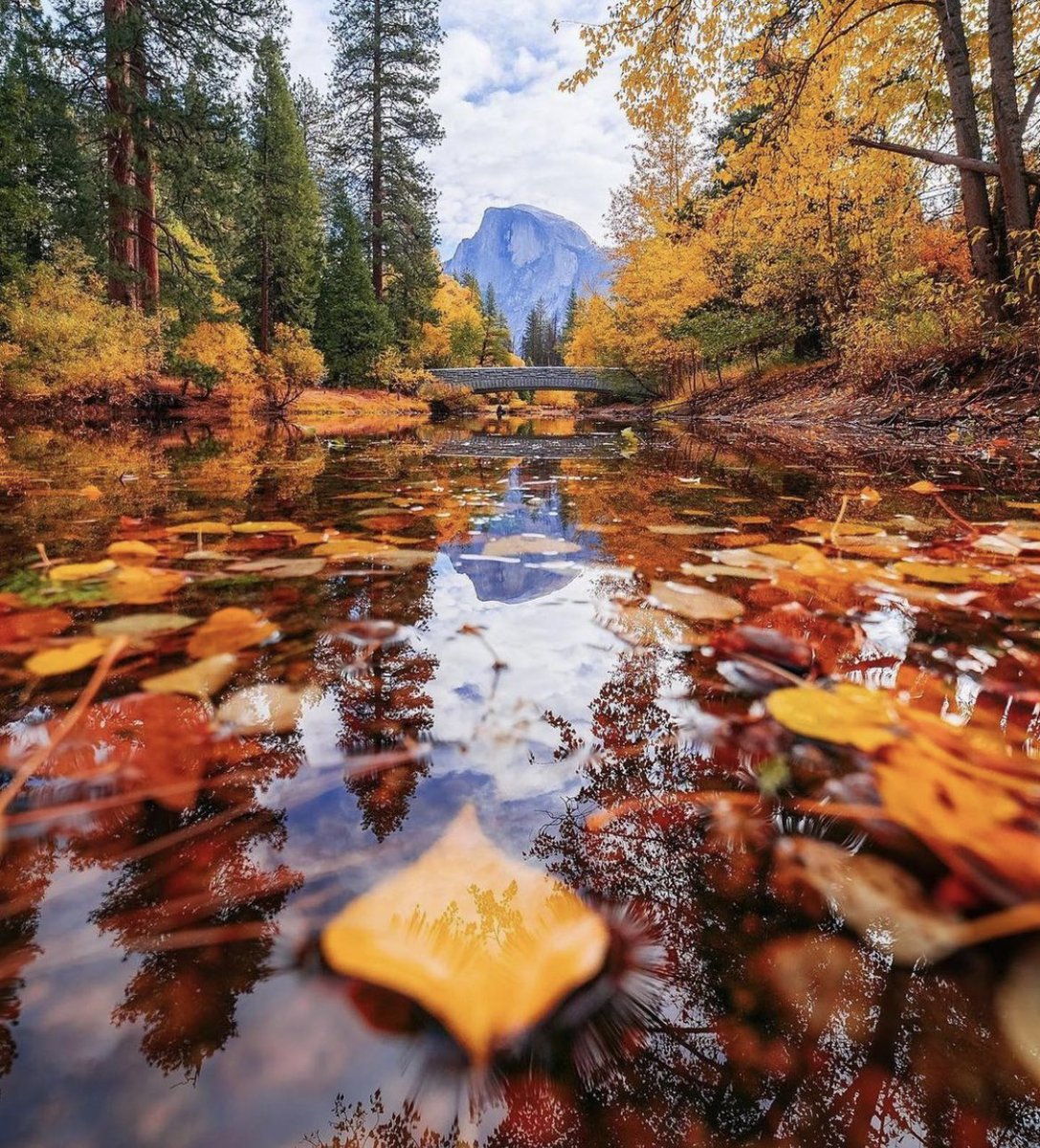 Earth Aesthetics 🌏 tweet media