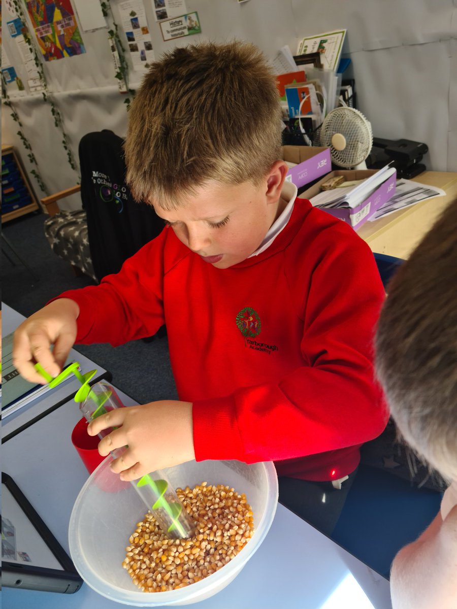 Hawthorn Class tweet media