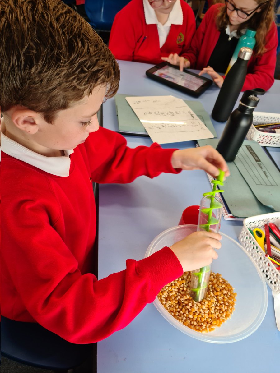 Hawthorn Class tweet media