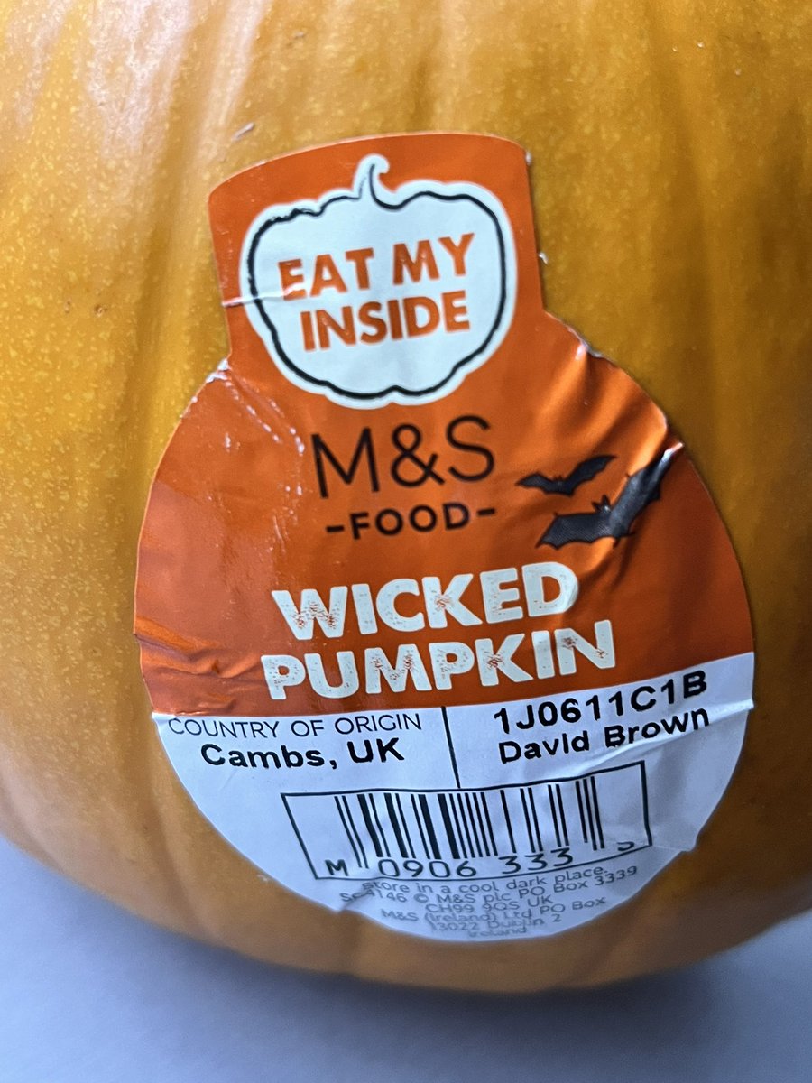 GemsOfMayfair's tweet photo. When your pumpkin is a little more forward than your expecting 😂 #fruitypumpkin https://t.co/PotIkbvjom