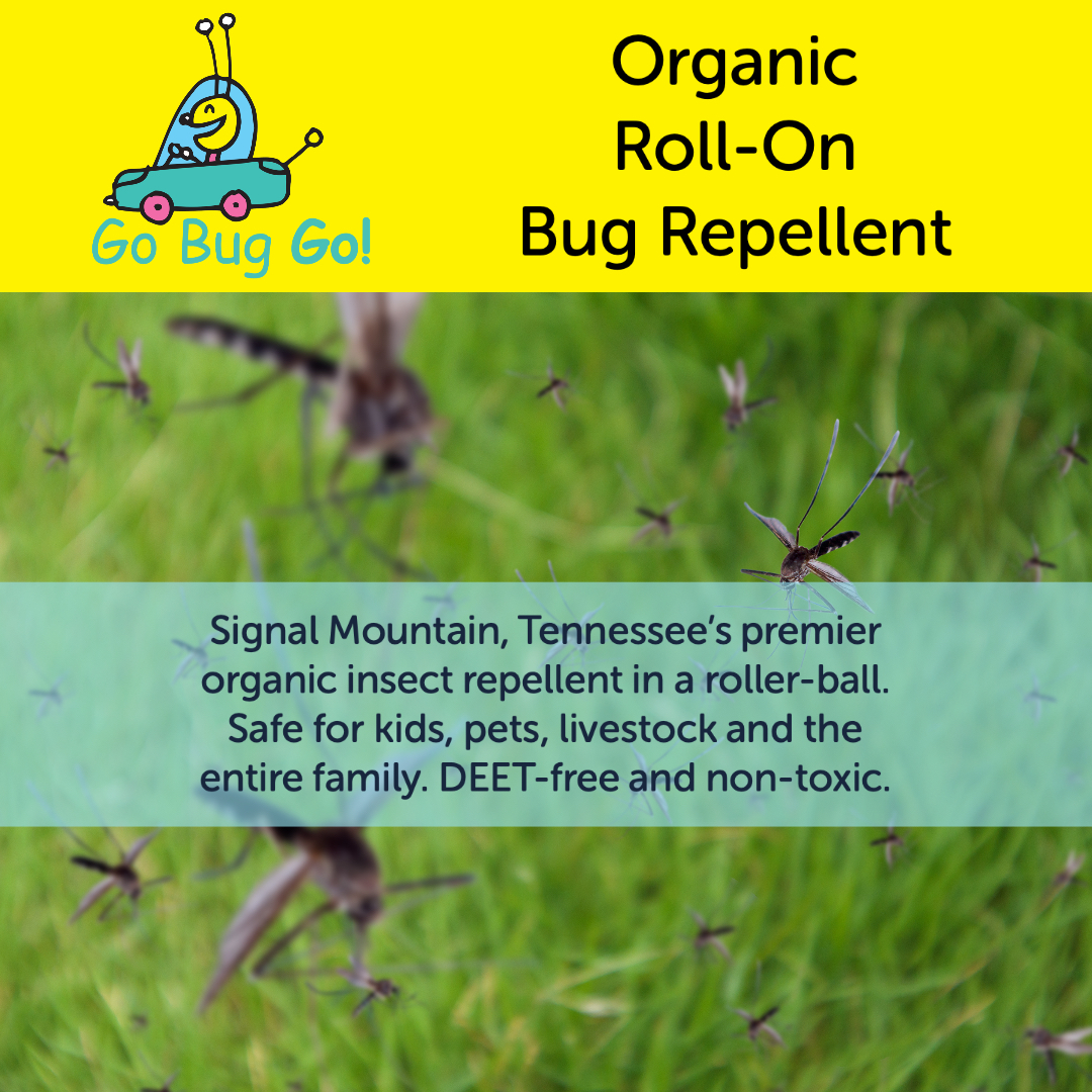 GoBugGo1 tweet picture