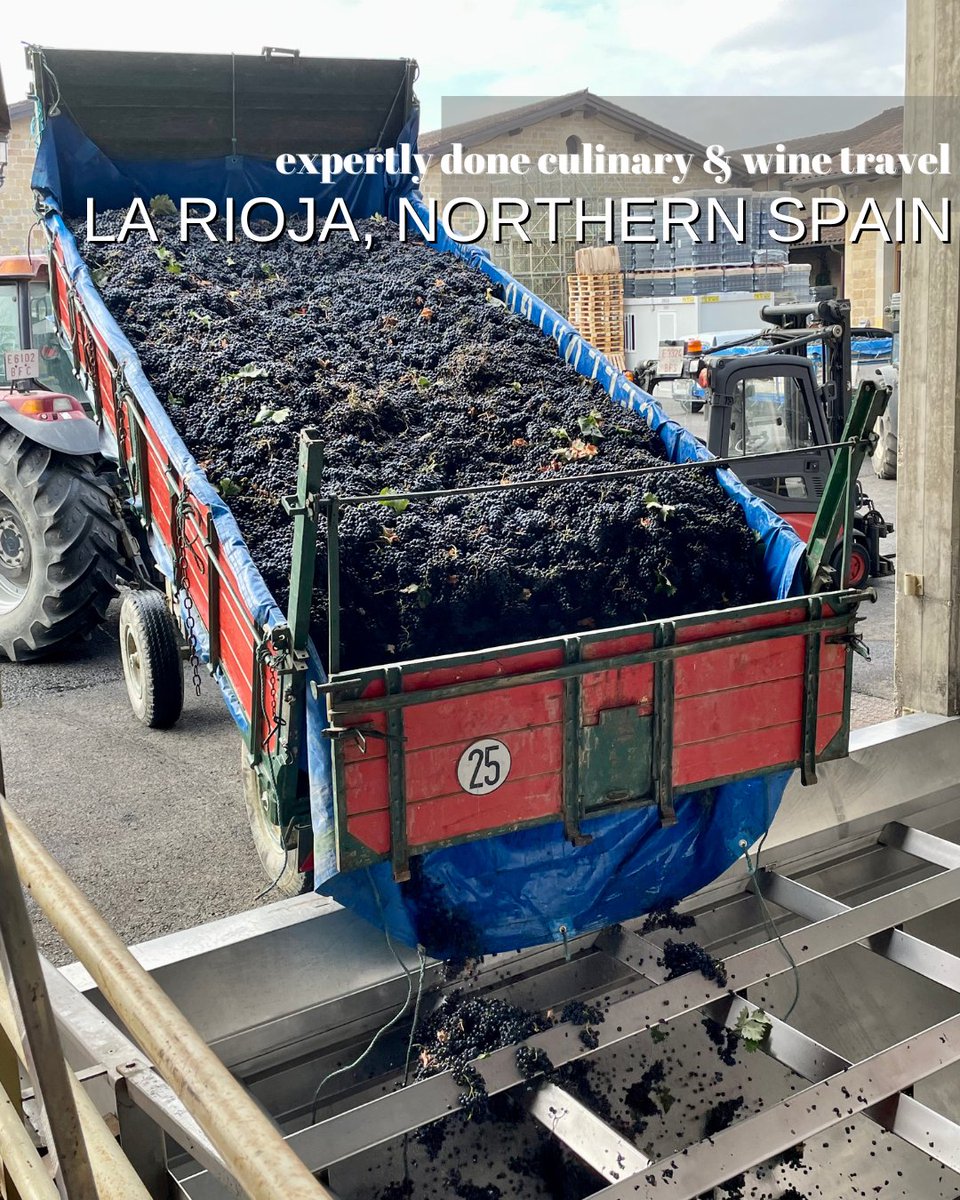 Ptt_global's tweet photo. Get up close and personal with growing, harvesting, making, and drinking #riojawine in #rioja on our Expertly Done Culinary & Wine Travel tour. @bodegasmuga @lariojaaltasa @luiscanas_bodegas @vivancoculturadevino
#premiertravelsc #premierexperiences https://t.co/bA54iB5cO0