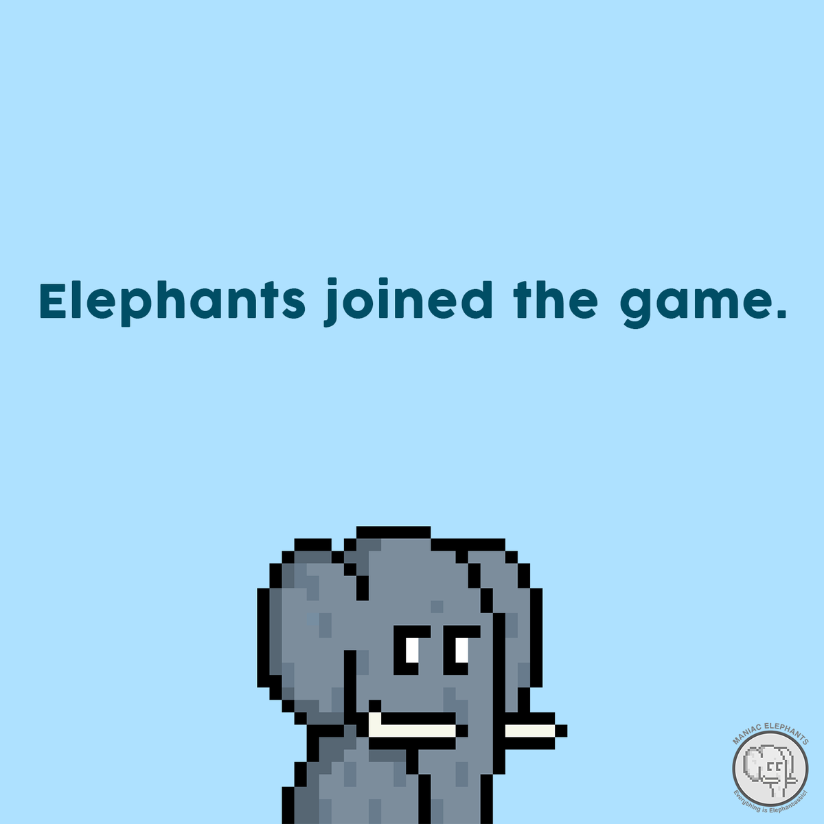 maniacelephants's tweet photo. Get ready Degen mfers🐘

#Solana #FreeMint #degenmint #NFT #NFTCommunity https://t.co/pvh7V3LlxG